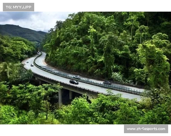 拜仁发布可持续发展报告 生态目标明确助力绿色未来